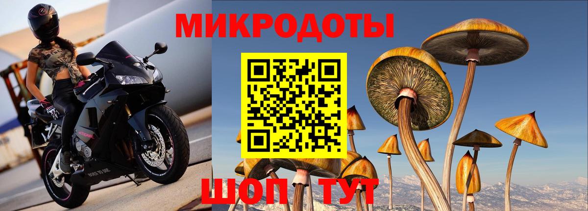 Галлюциногенные грибы Cubensis Черкесск
